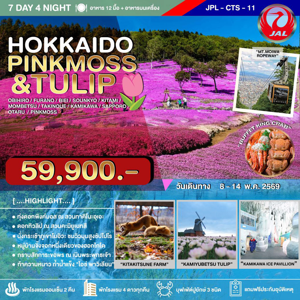 ทัวร์ญี่ปุ่น HOKKAIDO PINKMOSS_TULIP 7วัน 4คืน (JL)